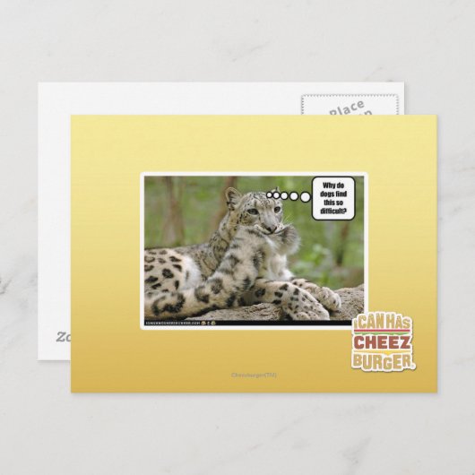 Carte Postale Pourquoi les chiens trouvent-ils cela si difficile (Devant / Derrière)