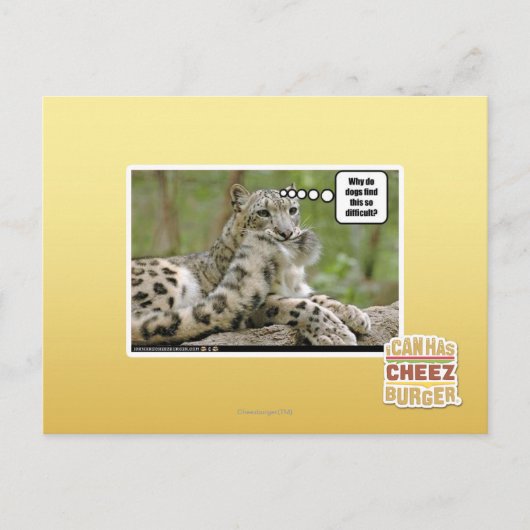 Carte Postale Pourquoi les chiens trouvent-ils cela si difficile (Devant)