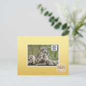 Carte Postale Pourquoi les chiens trouvent-ils cela si difficile (Debout devant)