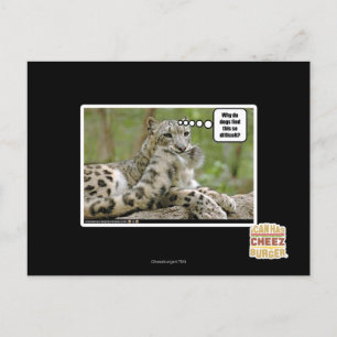 Carte Postale Pourquoi les chiens trouvent-ils cela si difficile