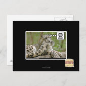 Carte Postale Pourquoi les chiens trouvent-ils cela si difficile (Devant / Derrière)