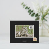 Carte Postale Pourquoi les chiens trouvent-ils cela si difficile (Debout devant)