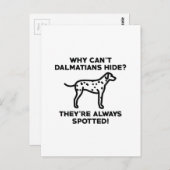 Carte Postale Pourquoi les Dalmatiens ne peuvent-ils pas se cach (Devant / Derrière)