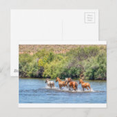 Carte Postale Poursuivre la liberté (Devant / Derrière)