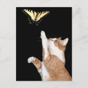 Carte Postale poursuivre votre rêve