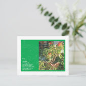 Carte Postale Poussière (Debout devant)