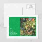 Carte Postale Poussière (Devant / Derrière)