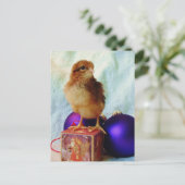 Carte Postale Poussin de Noël adorable (Debout devant)