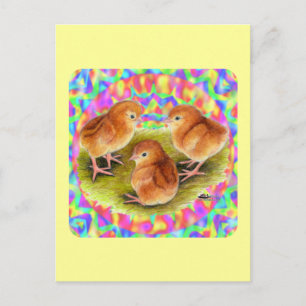 Carte Postale Poussins rouges