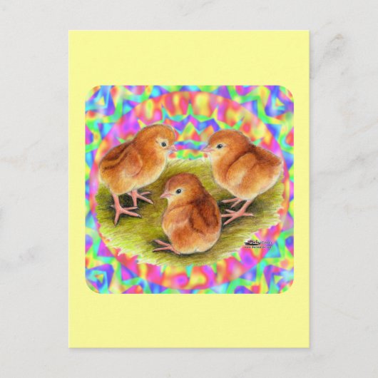 Carte Postale Poussins rouges (Devant)