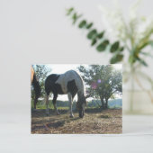 Carte Postale Poutres de soleil éblouissantes (Debout devant)