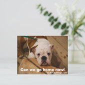 Carte Postale Pouvons-nous rentrer chez nous maintenant ! (Debout devant)