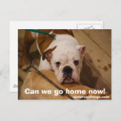 Carte Postale Pouvons-nous rentrer chez nous maintenant ! (Devant / Derrière)