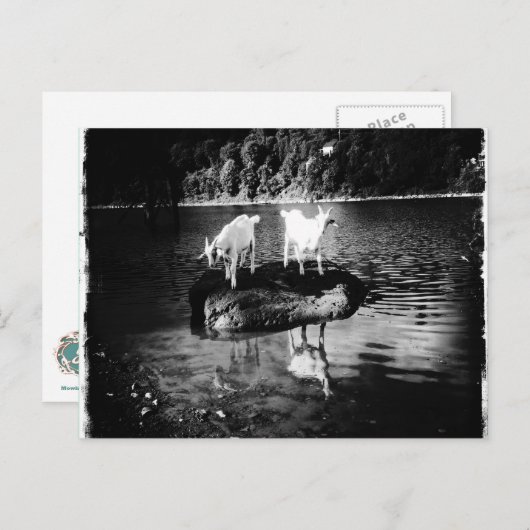 Carte postale Power chèvre (Devant / Derrière)