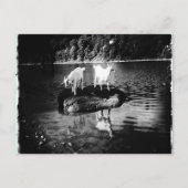 Carte postale Power chèvre (Devant)