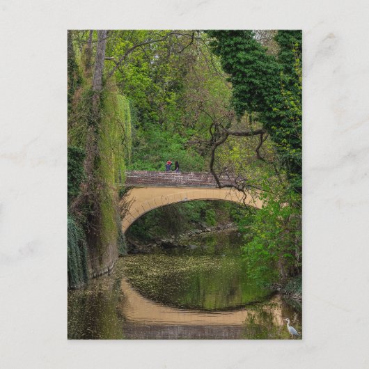 Carte Postale Prague, République tchèque (Devant)