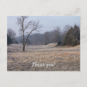 Carte Postale Prairie Brumeuse