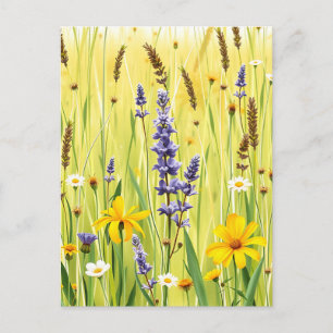 Carte Postale Prairie de fleurs sauvages motif d'été