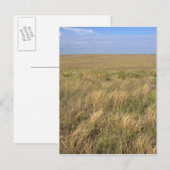 Carte Postale Prairie de prairie à l'est de Sidney, Nebraska. (Devant / Derrière)