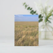 Carte Postale Prairie de prairie à l'est de Sidney, Nebraska. (Debout devant)