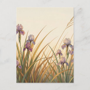 Carte Postale Prairie d'Iris Violet Herbe Dorée Paysage