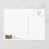Carte Postale Prairie envahie (Dos)