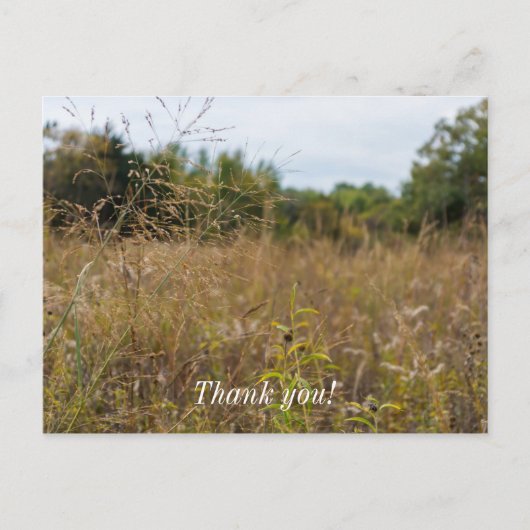 Carte Postale Prairie envahie (Devant)