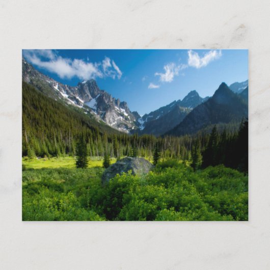 Carte Postale Prairie et mont Stuart (Devant)