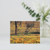Carte Postale prairie florale (Debout devant)