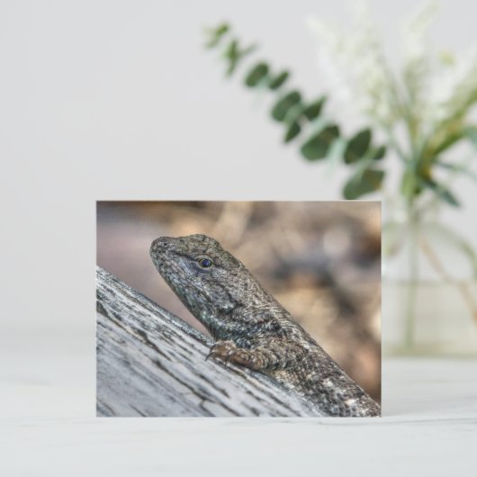 Carte Postale Prairie Lizard (Debout devant)