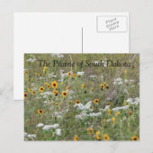 Carte postale Prairie of South Dakota (Devant / Derrière)