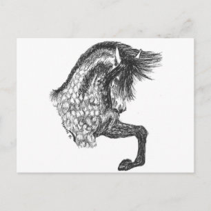 Carte Postale Prancing Andalusian