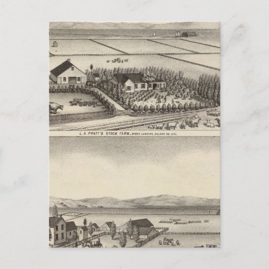 Carte Postale Pratt, Stewart (Devant)