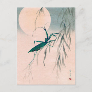 Carte Postale Praying Mantis and the Moon, Watanabe Seitei