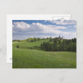 Carte Postale Pré à Custer State Park (Devant / Derrière)