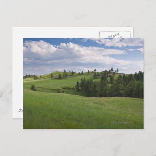 Carte Postale Pré à Custer State Park (Devant / Derrière)