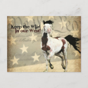 Carte postale pré-adressée au ministère de l'Intér