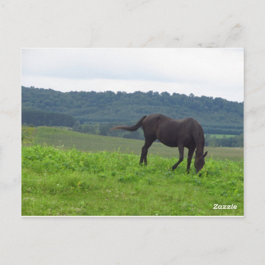 Carte Postale Pré d'amour (Dos)