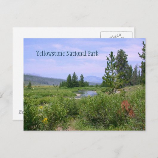 Carte Postale Pré d'été à Yellowstone (Devant / Derrière)