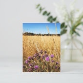 Carte Postale Pré d'été avec chardon de lait (Debout devant)