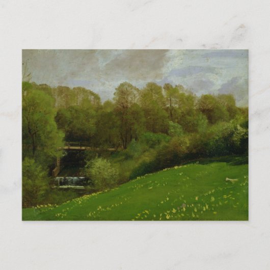 Carte Postale Pré et bois, 1895 (Devant)