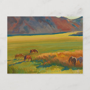 Carte Postale Pré et Chevaux par Maynard Dixon