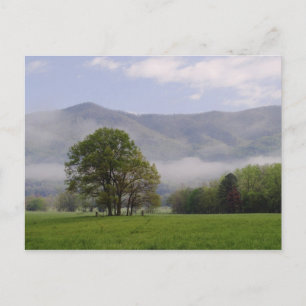 Carte Postale pré et montagne riche, Cades Cove,