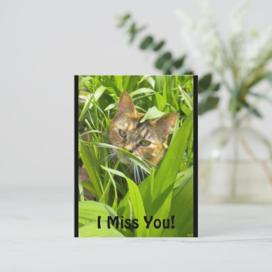 Carte postale Precieux Jungle Kitty "Missing you" (Debout devant)