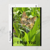 Carte postale Precieux Jungle Kitty "Missing you" (Devant / Derrière)