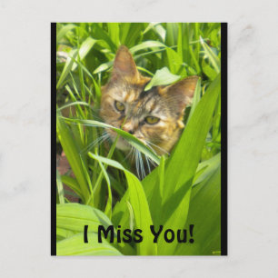 Carte postale Precieux Jungle Kitty "Missing you"