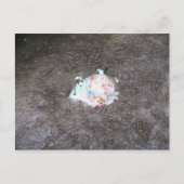 Carte Postale Préhistorique (Devant)