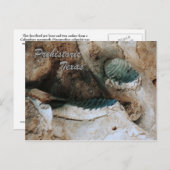 Carte postale préhistorique du Texas (Devant / Derrière)