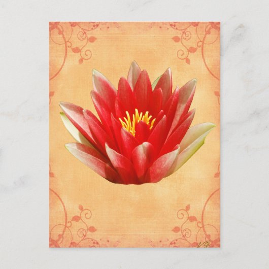 Carte Postale Premier cadeau Chakra (Devant)