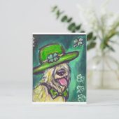 Carte Postale premier jour de paddle sir wheaten (Debout devant)